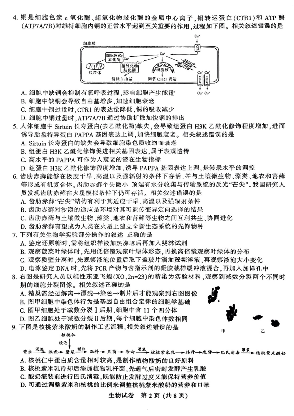 江苏省南通市2024-2025学年高三上学期第一次调研测试生物+答案.pdf_第2页