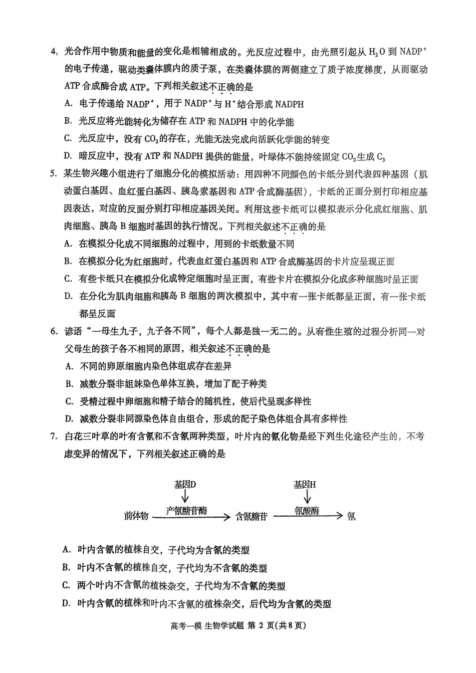 江西省九江市2025届高三上学期第一次高考模拟统一考试生物+答案.pdf_第2页