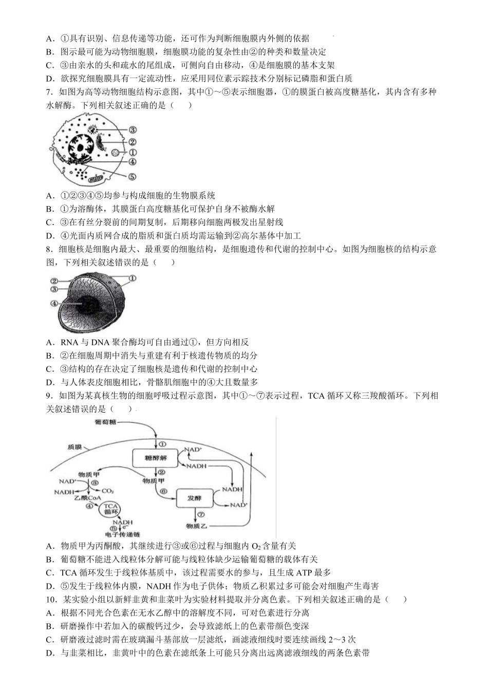 九师联盟2025届高三10月联考（S-G）生物试题.pdf_第2页