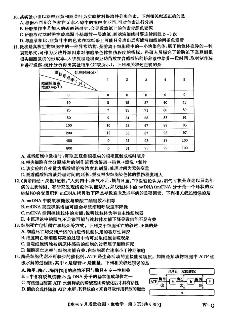 九师联盟2025届高三10月联考（W-G）生物试题.pdf_第3页