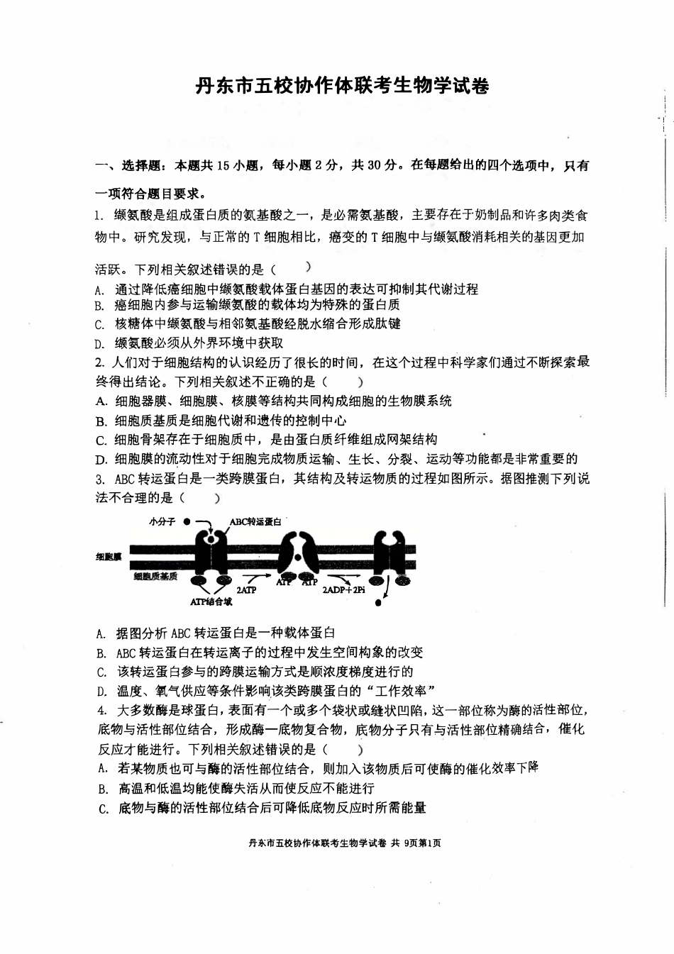 辽宁省丹东市五校协作体2024-2025学年高三上学期12月月考试题 生物 PDF版含答案.pdf_第1页