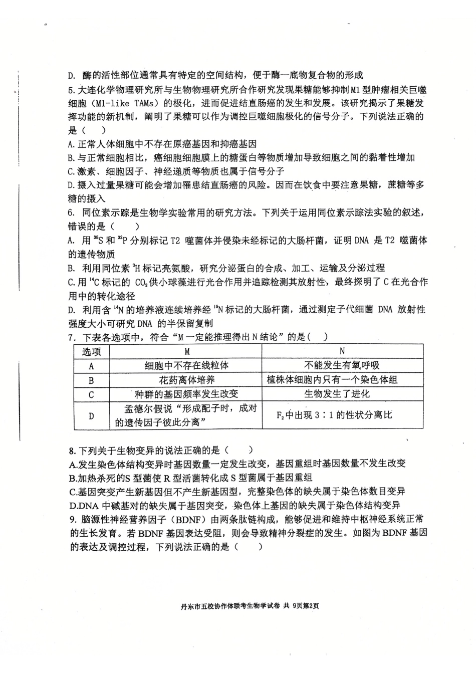 辽宁省丹东市五校协作体2024-2025学年高三上学期12月月考试题 生物 PDF版含答案.pdf_第2页