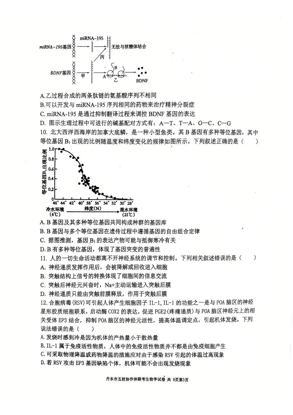 辽宁省丹东市五校协作体2024-2025学年高三上学期12月月考试题 生物 PDF版含答案.pdf_第3页