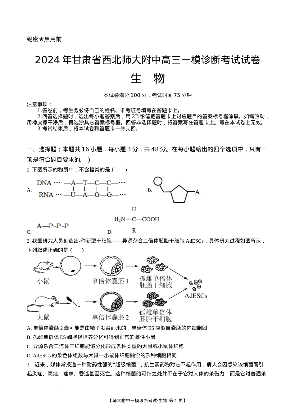 甘肃省西北师范大学附属中学2025届高三上学期一模诊断考试生物+答案.docx_第1页