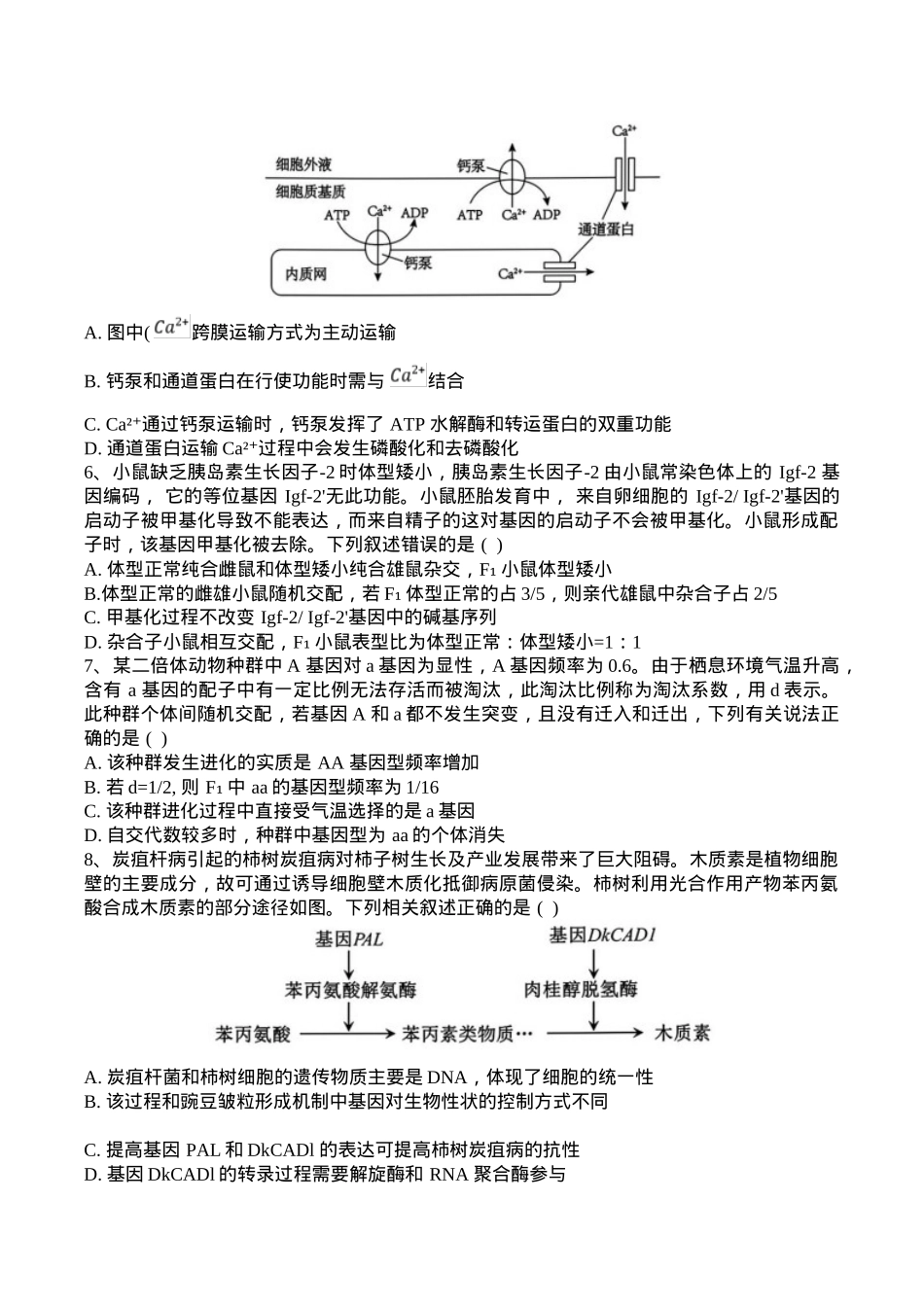 黑龙江省佳木斯市第一中学2025届高三上学期第五次调研考试 生物 Word版含答案.docx_第2页