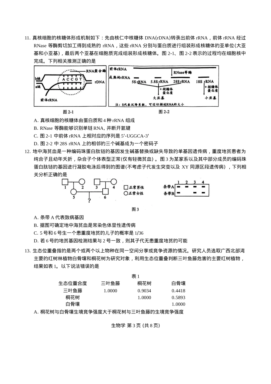 广西柳州市2025届高三第二次模拟考试生物学试题（含答案）.docx_第3页