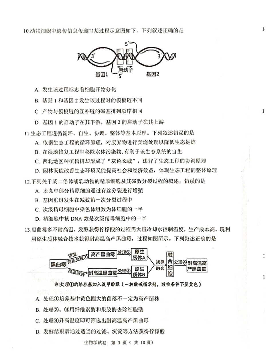 辽宁省大连市2024-2025学年高三上学期期末双基测生物试卷及答案.pdf_第3页