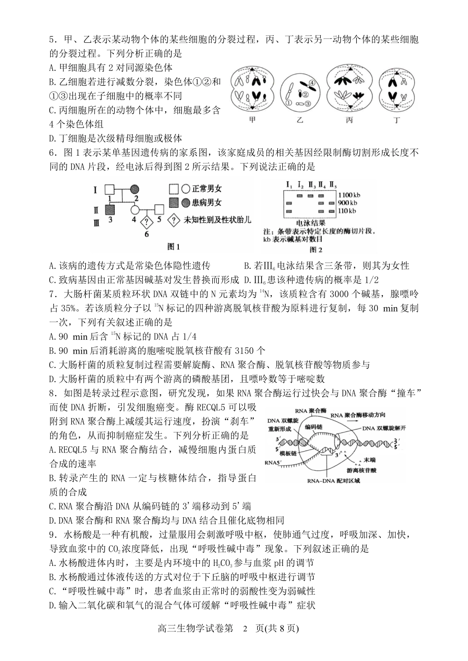 辽宁省丹东市2025届高三上学期1月期末教学质量调研测试生物.pdf_第2页