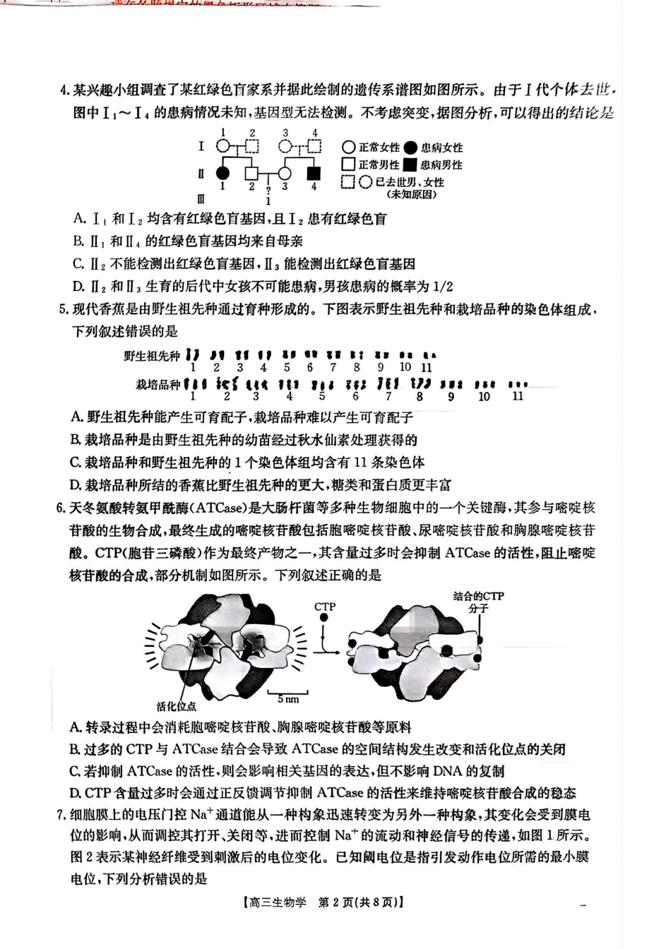 青海省金太阳2025届高三12月联考生物.pdf_第2页