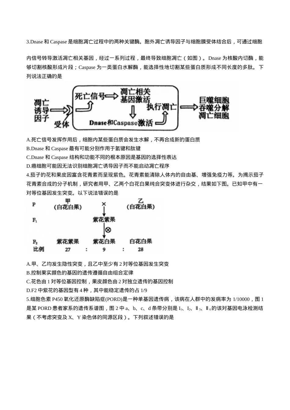 河南省三门峡市2025届高三上学期第一次大练习试题（期末）生物 Word版含解析.docx_第2页