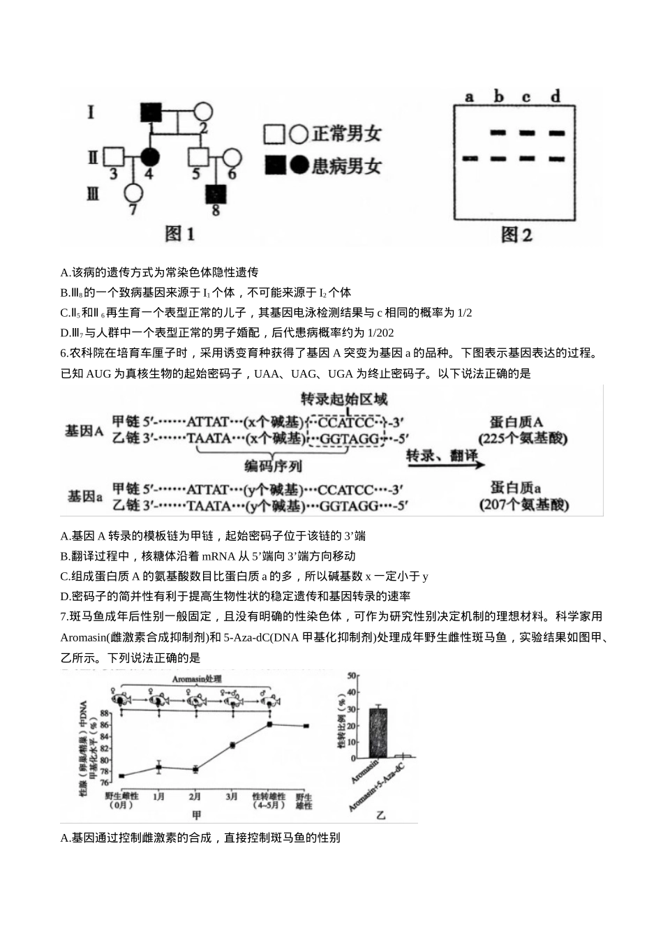 河南省三门峡市2025届高三上学期第一次大练习试题（期末）生物 Word版含解析.docx_第3页