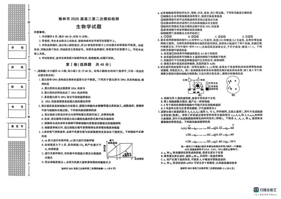 陕西省榆林市2025届高三上学期第二次模拟检测生物试题（含答案）.pdf_第1页