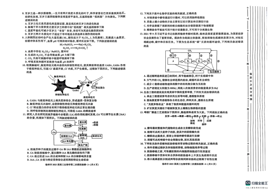 陕西省榆林市2025届高三上学期第二次模拟检测生物试题（含答案）.pdf_第2页
