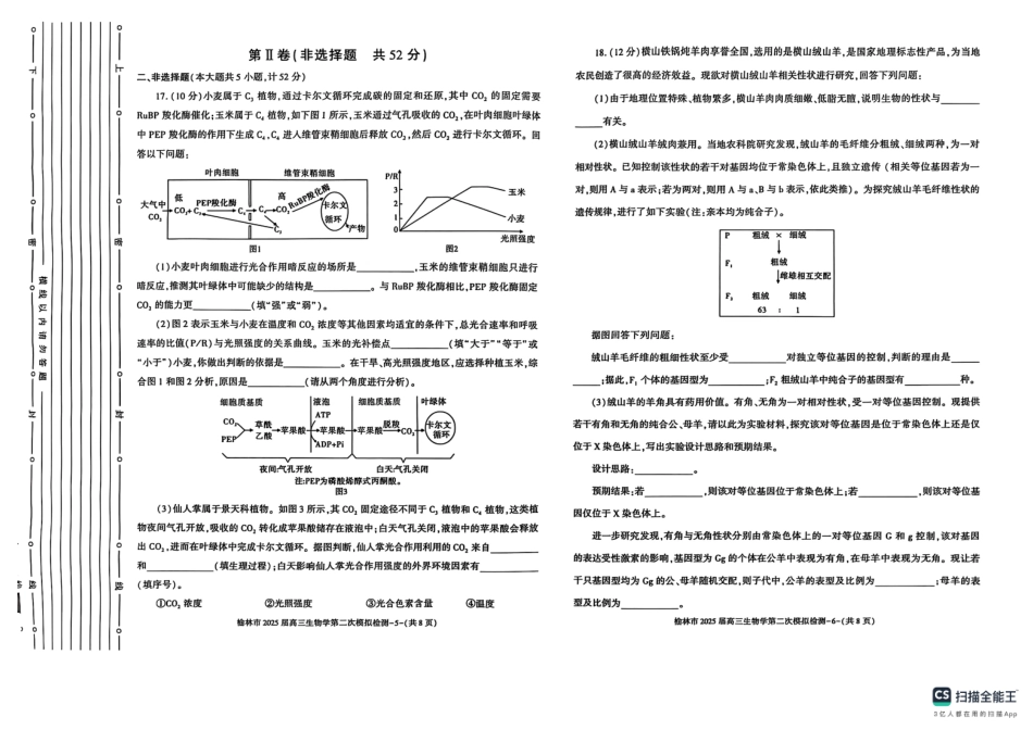 陕西省榆林市2025届高三上学期第二次模拟检测生物试题（含答案）.pdf_第3页