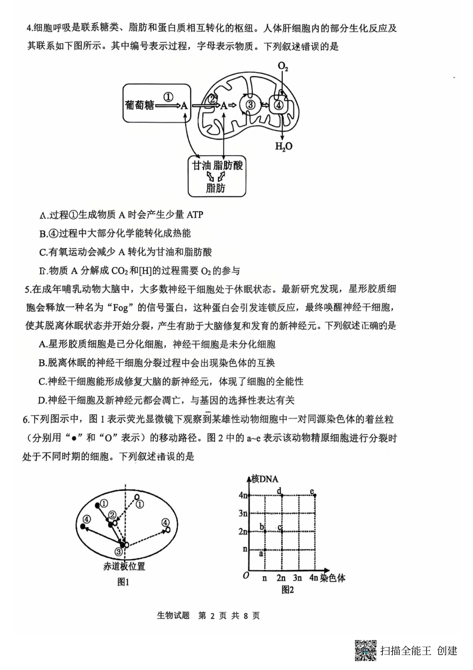陕西省渭南市2025届高三上学期教学质量检测（Ⅰ）生物+答案.pdf_第2页