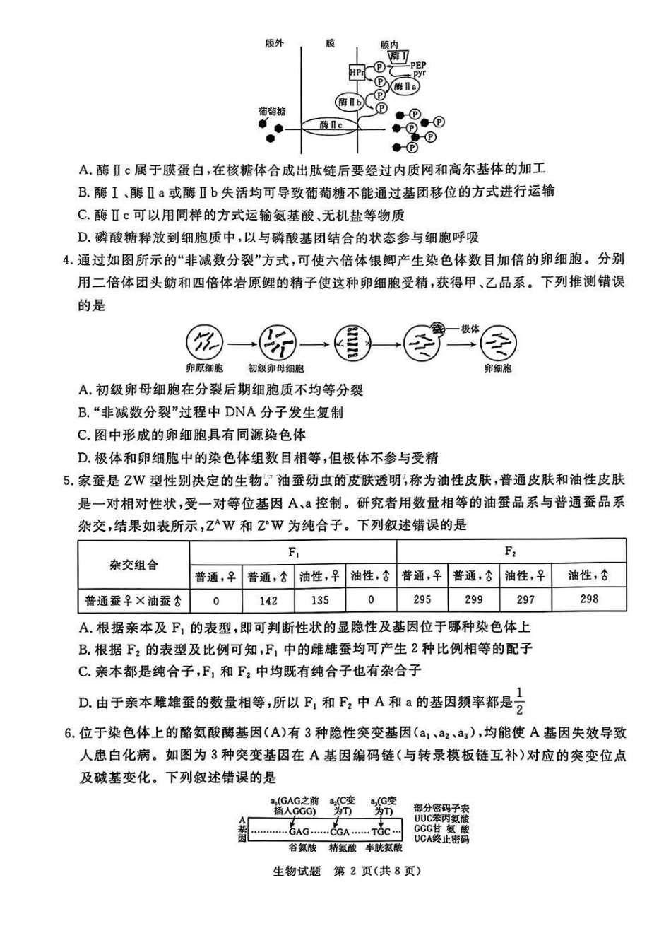 河南五市2025届高三期末生物试题及答案.pdf_第2页