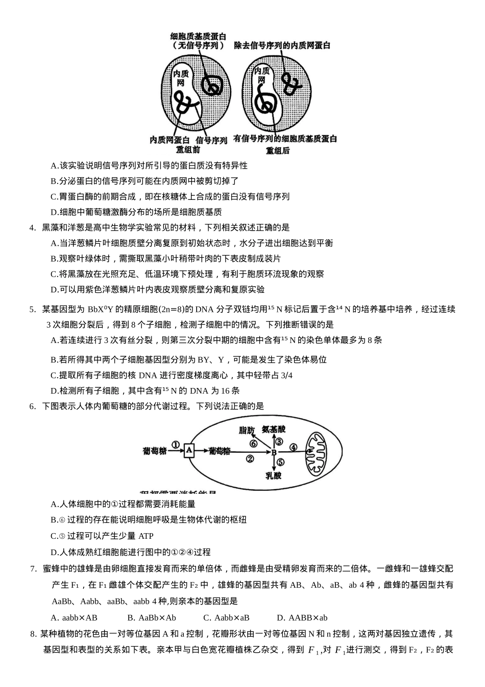 河南省信阳市2024-2025学年普通高中高三第二次教学质量检测生物模拟试题（含答案）.docx_第2页