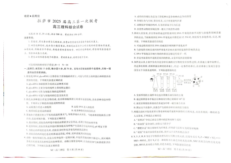 2025届西藏自治区拉萨市高三一模理综试题.pdf_第1页