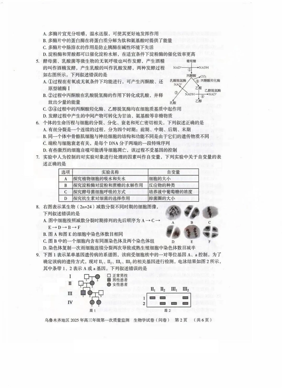 新疆乌鲁木齐地区 2025 年高三年级第一次质量监测生物.pdf_第2页