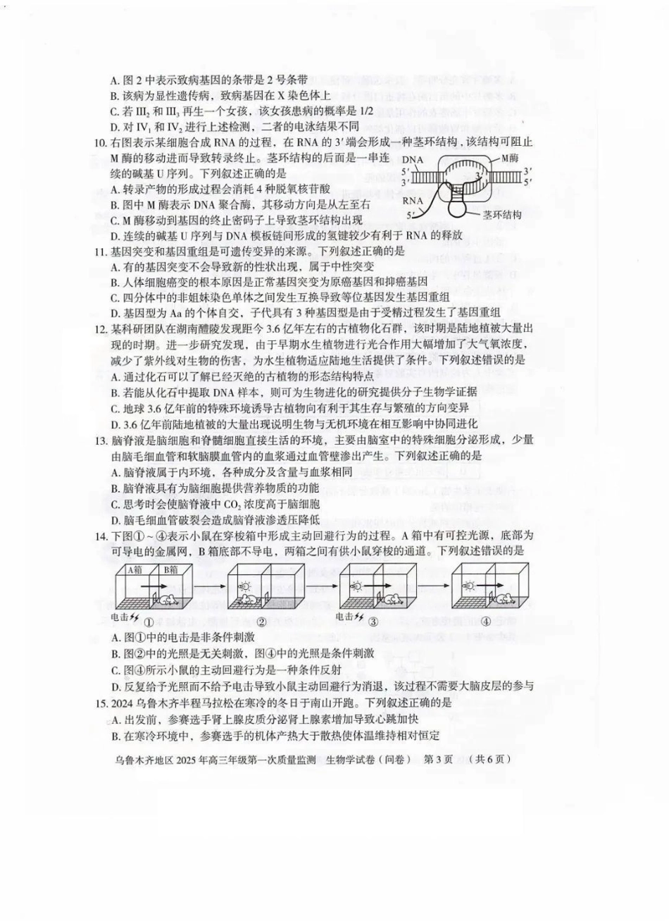 新疆乌鲁木齐地区 2025 年高三年级第一次质量监测生物.pdf_第3页