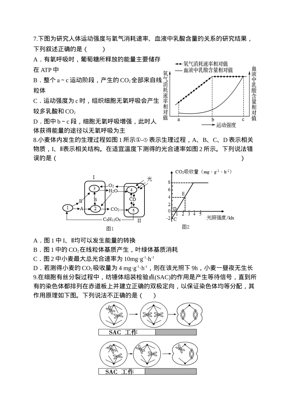 天津市静海区第一中学2024-2025学年高三上学期10月月考试题 生物 Word版含答案.docx_第3页