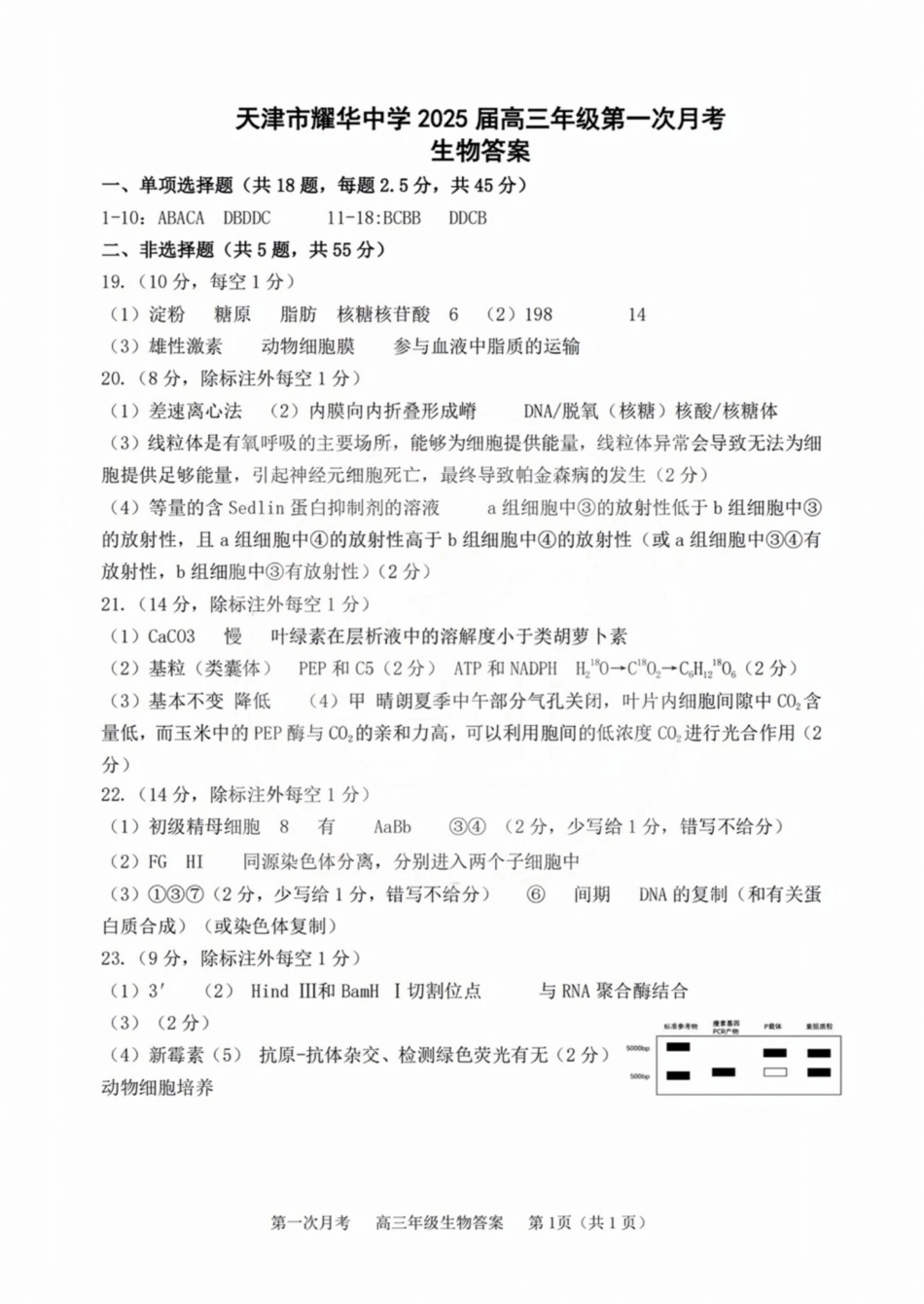 天津耀华中学2025届高三上期第一次月考生物试题答案.pdf_第1页