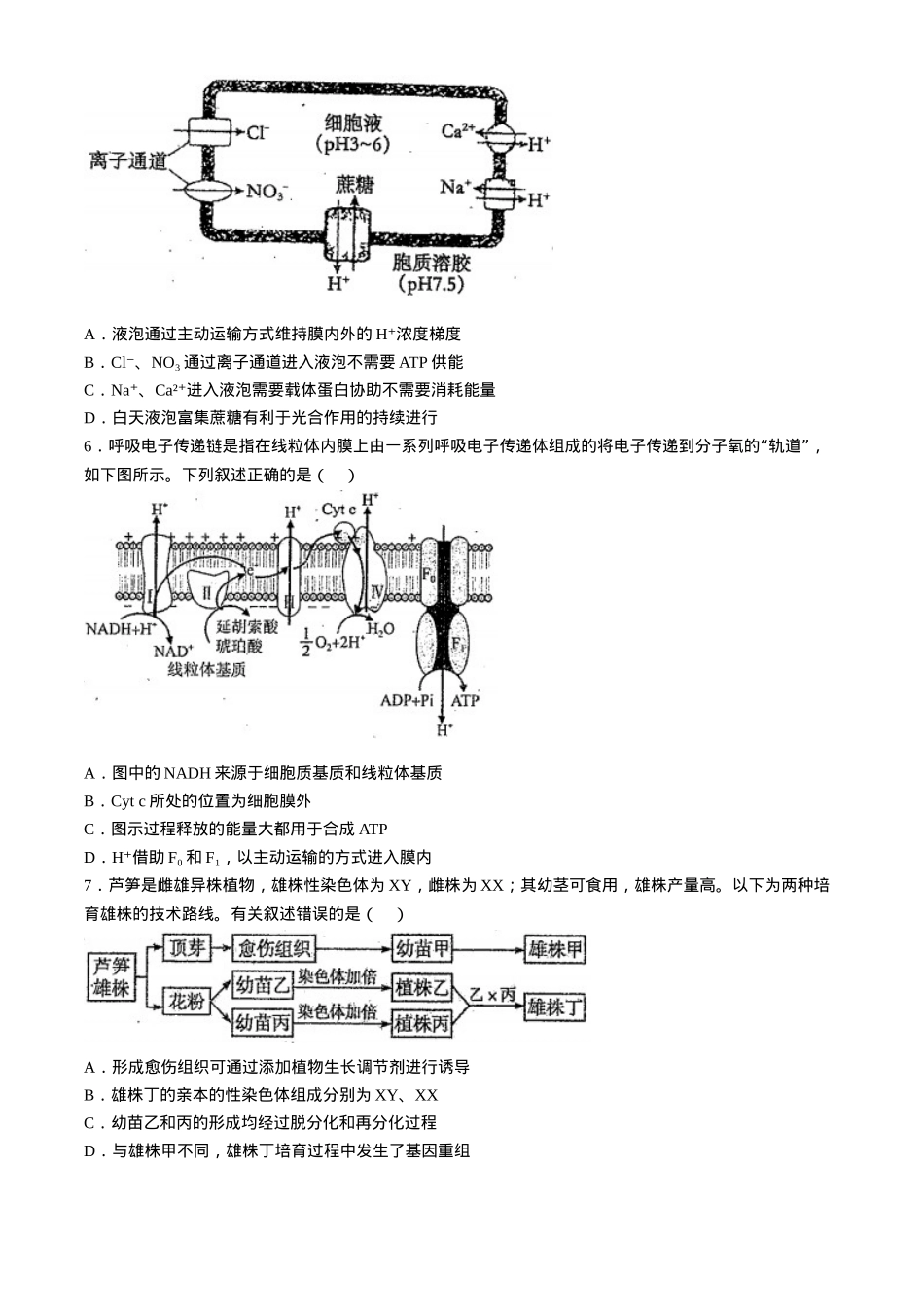 天津市南开中学2024-2025学年高三上学期10月月考生物学试题（含答案）.docx_第2页