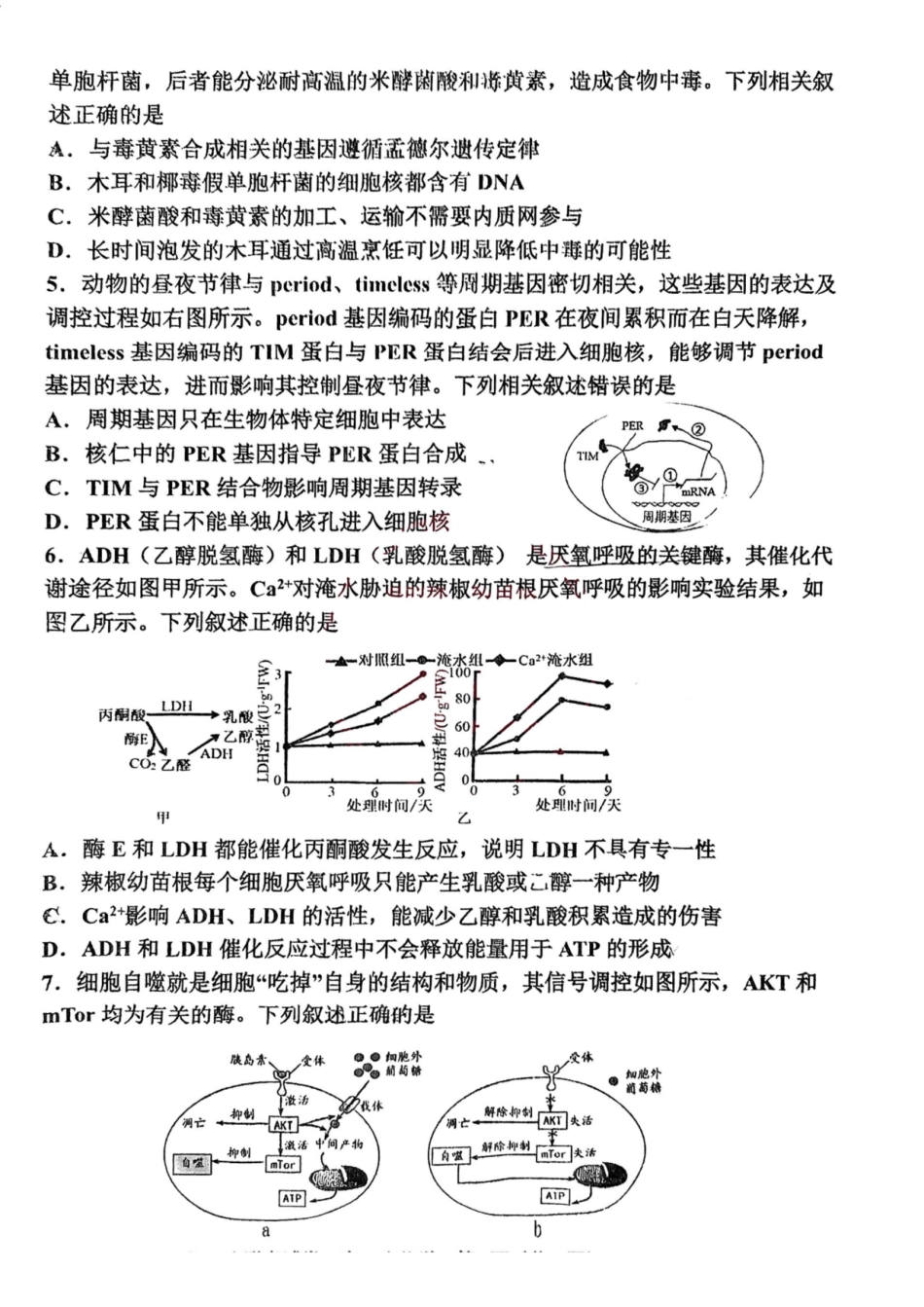 天津市北辰区2024-2025学年高三上学期11月期中生物试题（含答案）.pdf_第2页