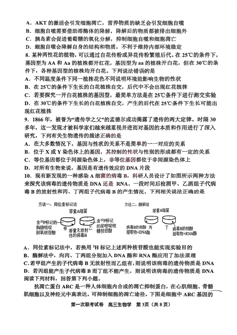 天津市北辰区2024-2025学年高三上学期11月期中生物试题（含答案）.pdf_第3页