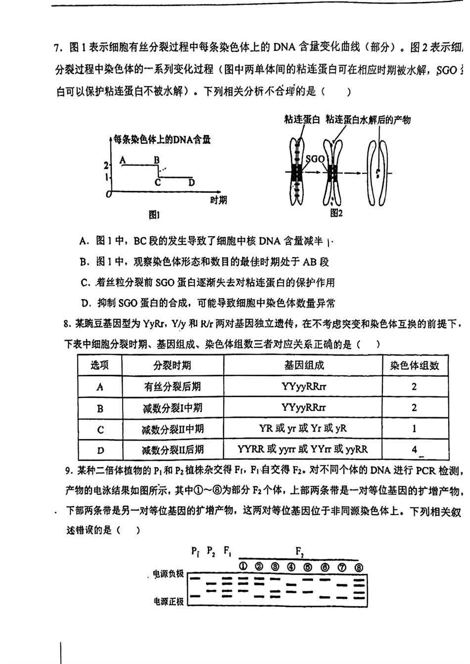 天津市第一中学2024-2025学年高三上学期第二次月考生物.pdf_第3页