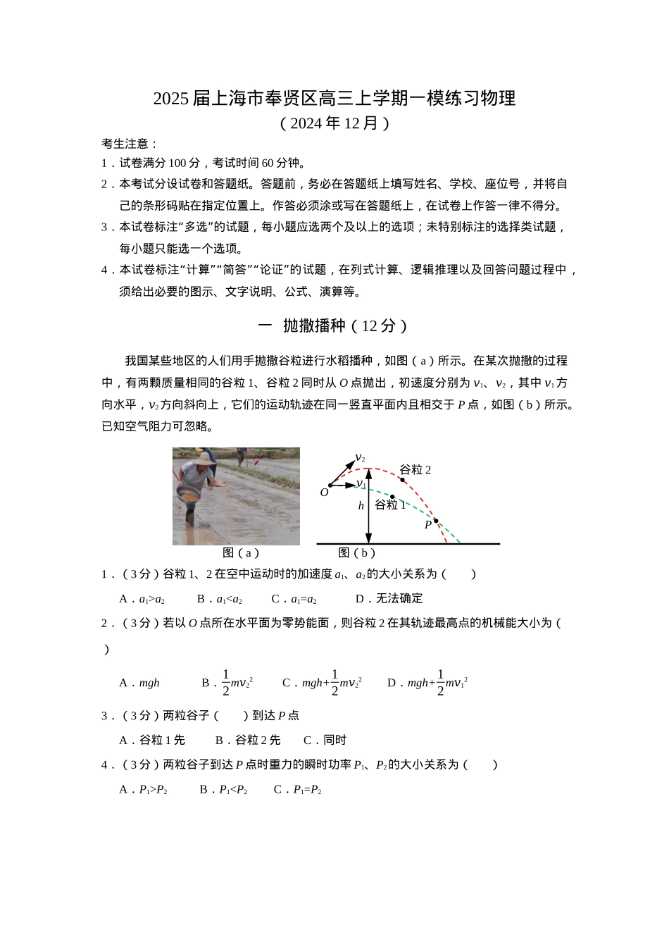 上海市奉贤区2024-2025学年高三上学期一模练习物理试题（含答案）.docx_第1页