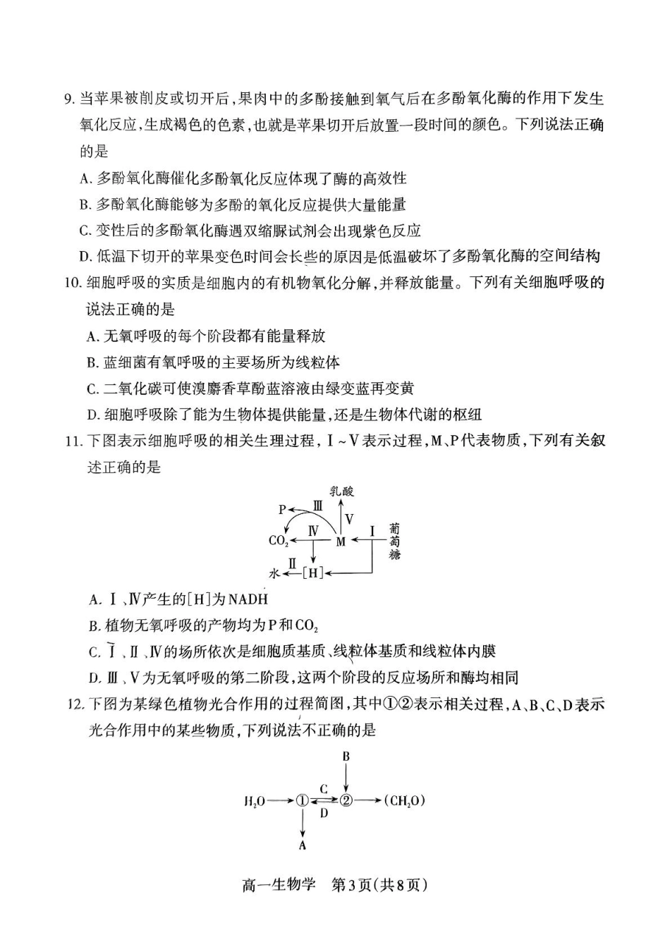 山西省吕梁市2024-2025学年高一上学期期末调研测试生物学试题（PDF版，无答案）.pdf_第3页