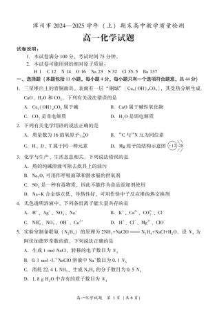 福建省漳州市2024-2025学年高一上学期期末高中教学质量检测 化学试题（PDF版，含答案）.pdf