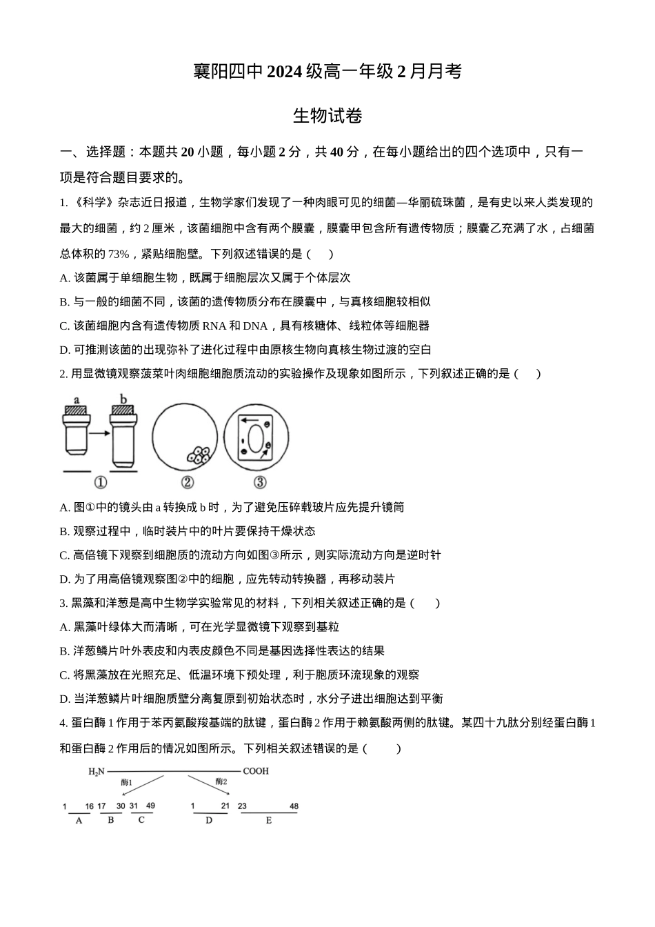 湖北省襄阳市第四中学2024—2025学年高一下学期2月考试生物学试题（含答案）.docx_第1页