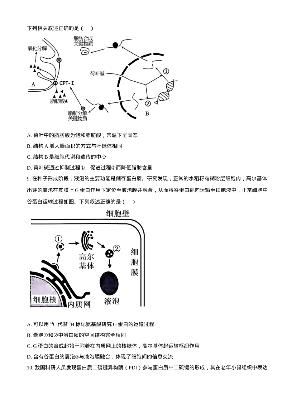 湖北省襄阳市第四中学2024—2025学年高一下学期2月考试生物学试题（含答案）.docx_第3页