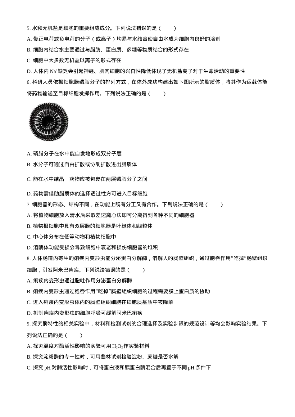 山东省威海市2024-2025学年高一上学期期末考试生物学试题（含答案）.docx_第2页
