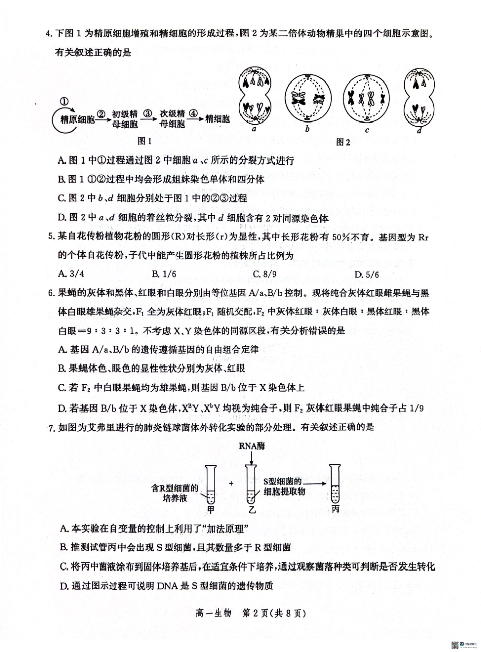 河北省沧州市2023-2024学年高一下学期7月期末教学质量监测生物试题.pdf_第2页