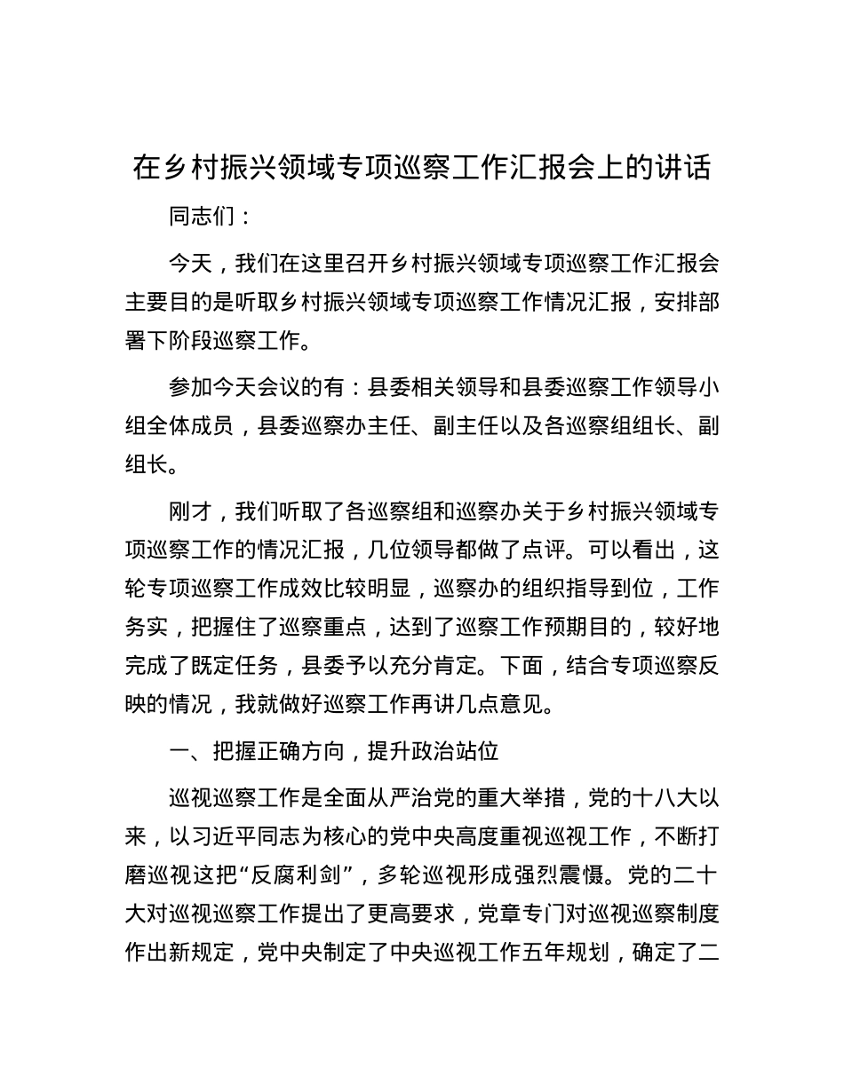 在乡村振兴领域专项巡察工作汇报会上的讲话.docx_第1页