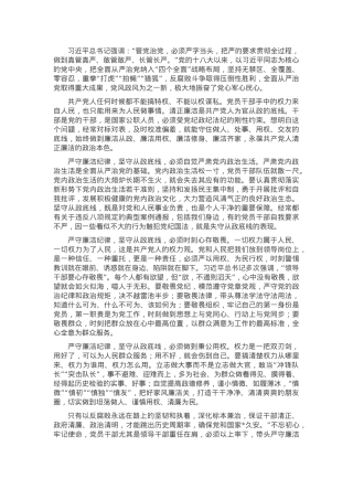 座谈发言：严守廉洁纪律 坚守从政底线.docx
