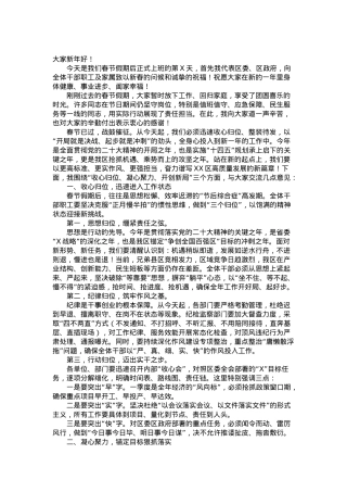 在2025年全区春节后收心会上的讲话.docx