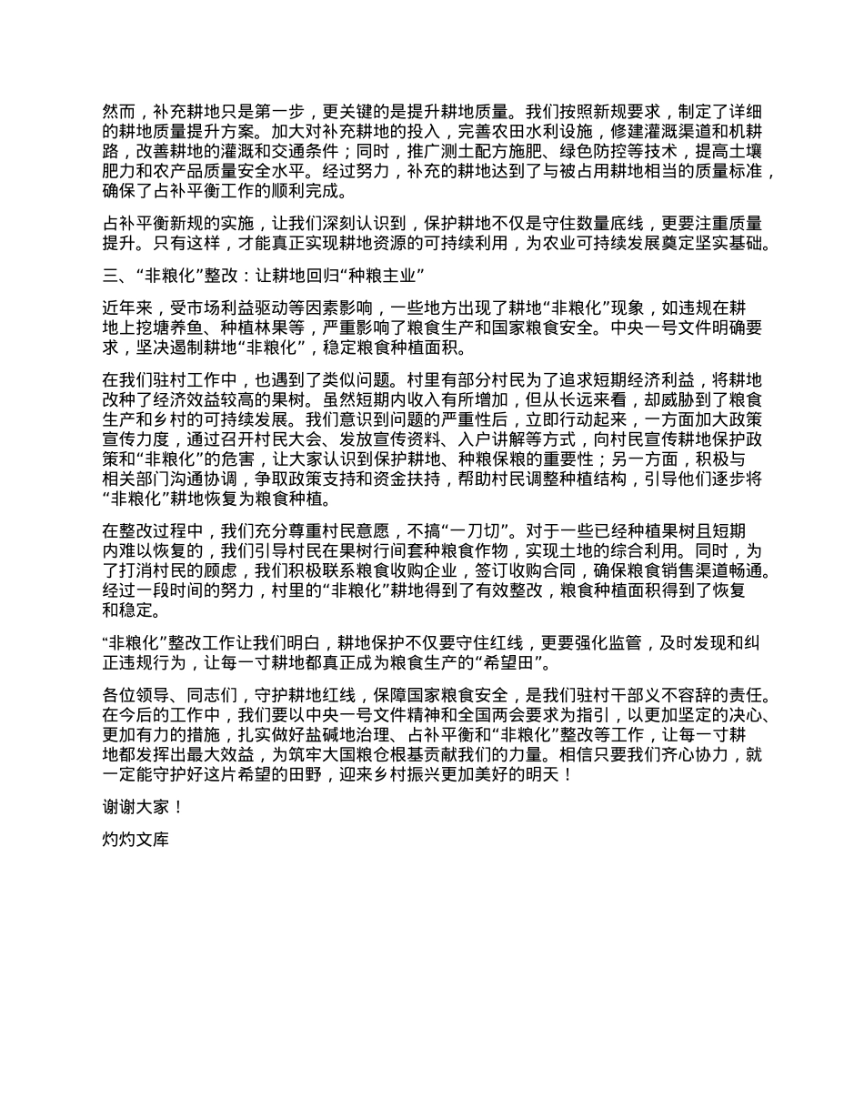 在2025年驻村干部座谈会上的发言：守护耕地红线，筑牢大国粮仓根基.docx_第2页