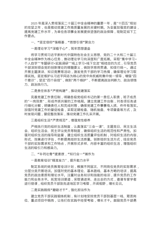 2025年度党建工作要点计划.docx