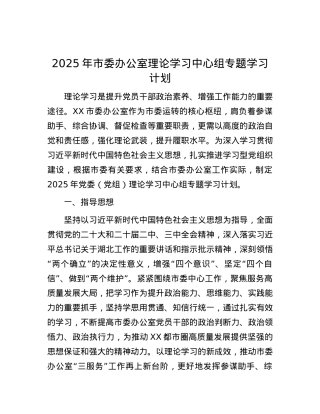 2025年市委办公室理论学习中心组专题学习计划.docx