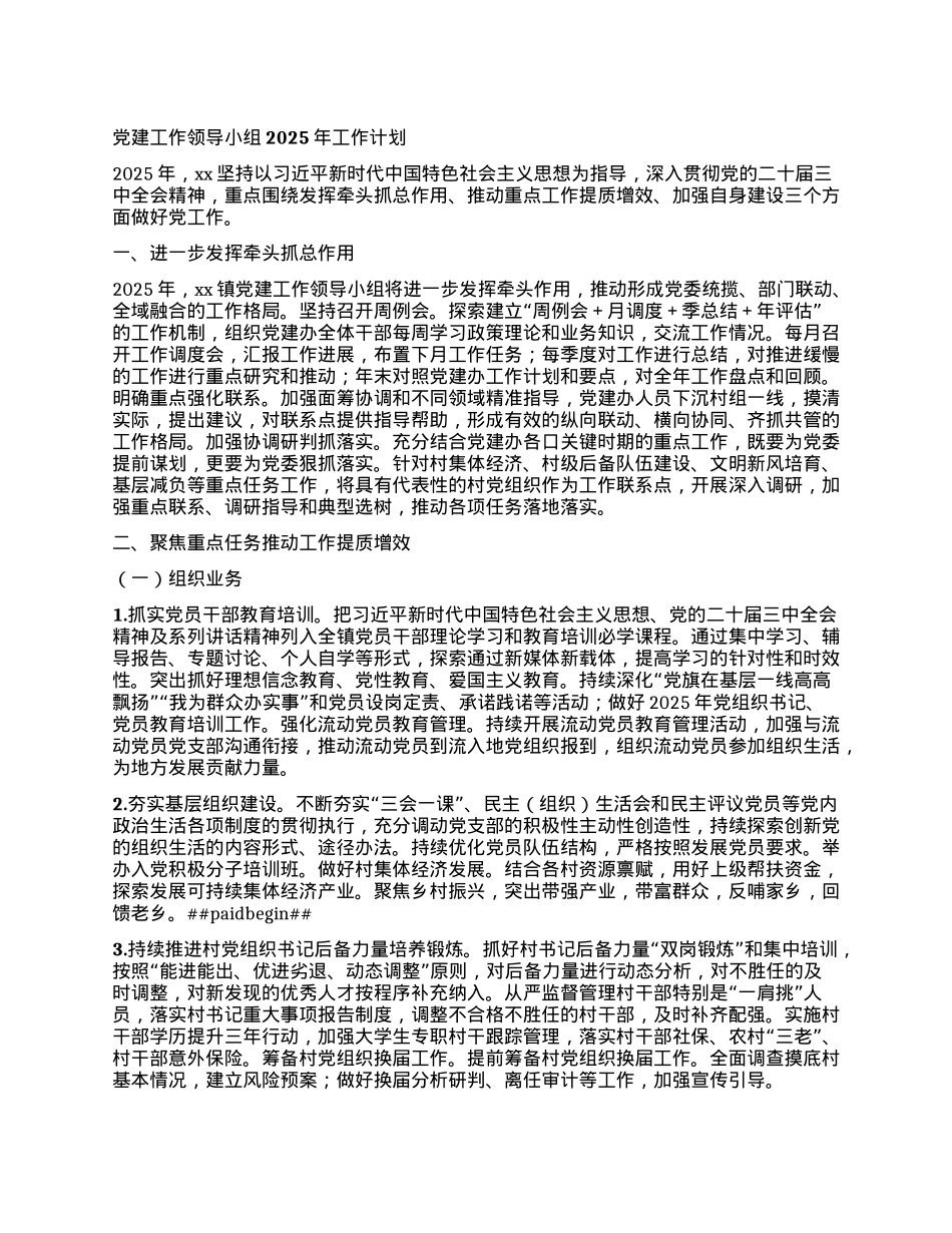 X建工作领导小组2025年工作计划.docx_第1页