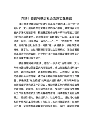 X建引领谱写基层社会治理实践新篇.docx