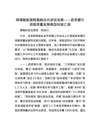 铸魂赋能强根基 融合共进促发展——县X建引领高质量发展典型经验汇报.docx