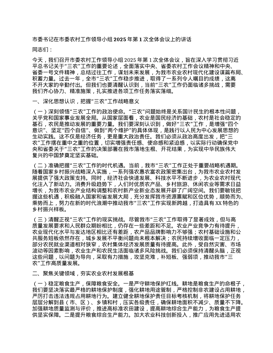 市委书记在市委农村工作领导小组2025年第1次全体会议上的讲话.docx_第1页