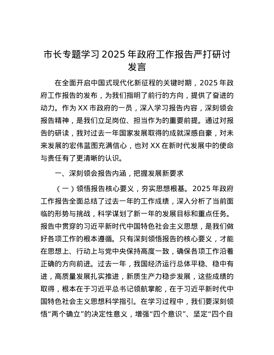 市长专题学习2025年政府工作报告严打研讨发言.docx_第1页