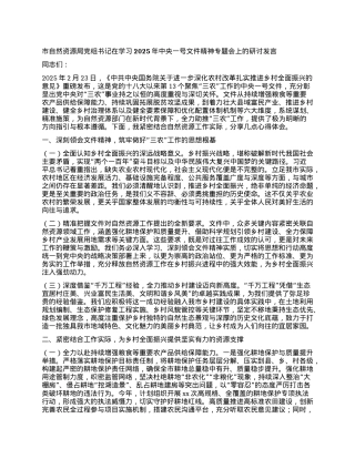 市自然资源局X组书记在学习2025年中央一号文件精神专题会上的研讨发言.docx