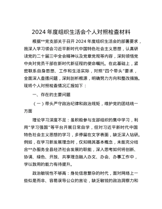 2024年度组织生活会个人对照检查材料.docx